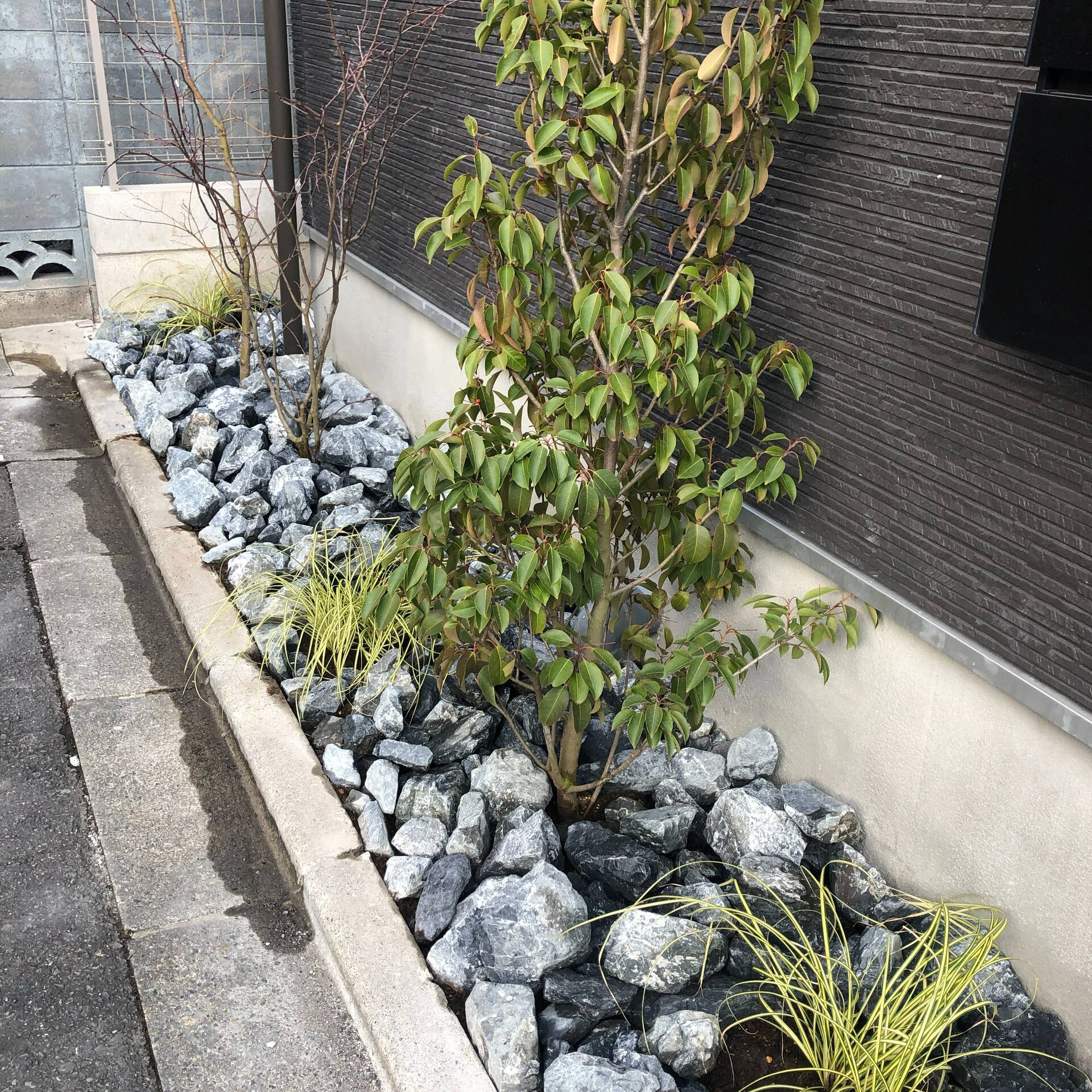 植栽の水やりは、季節や植物の種類に合わせて適切に行うことが大