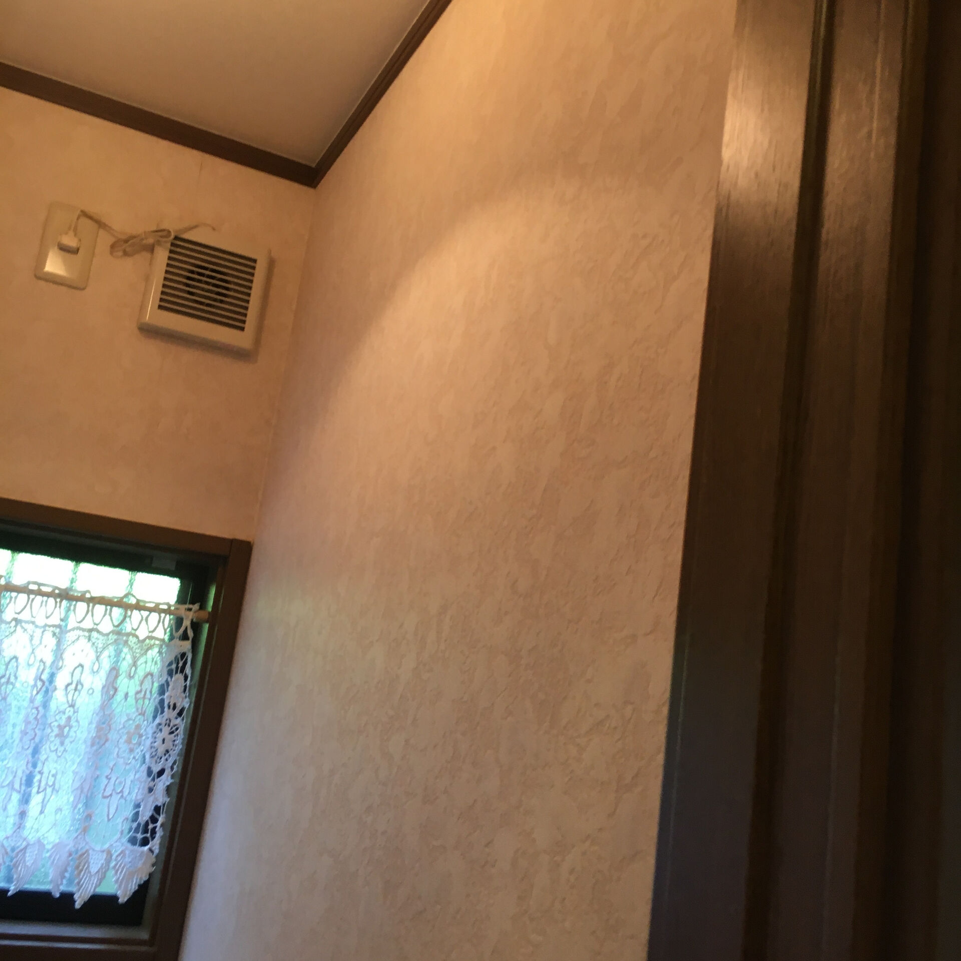 トイレの照明を交換する際は、まず明るさと色温度に注意します